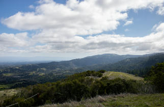 Windy Hill Open Space Preserve