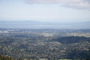 Windy Hill Open Space Preserve