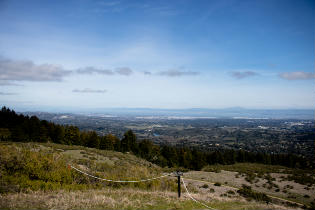 Windy Hill Open Space Preserve