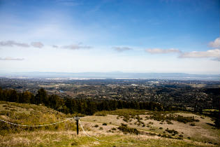 Windy Hill Open Space Preserve