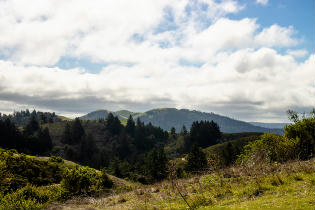 Windy Hill Open Space Preserve