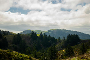 Windy Hill Open Space Preserve