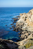 Point Lobos Part II