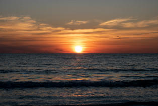 Sarasota Sunset