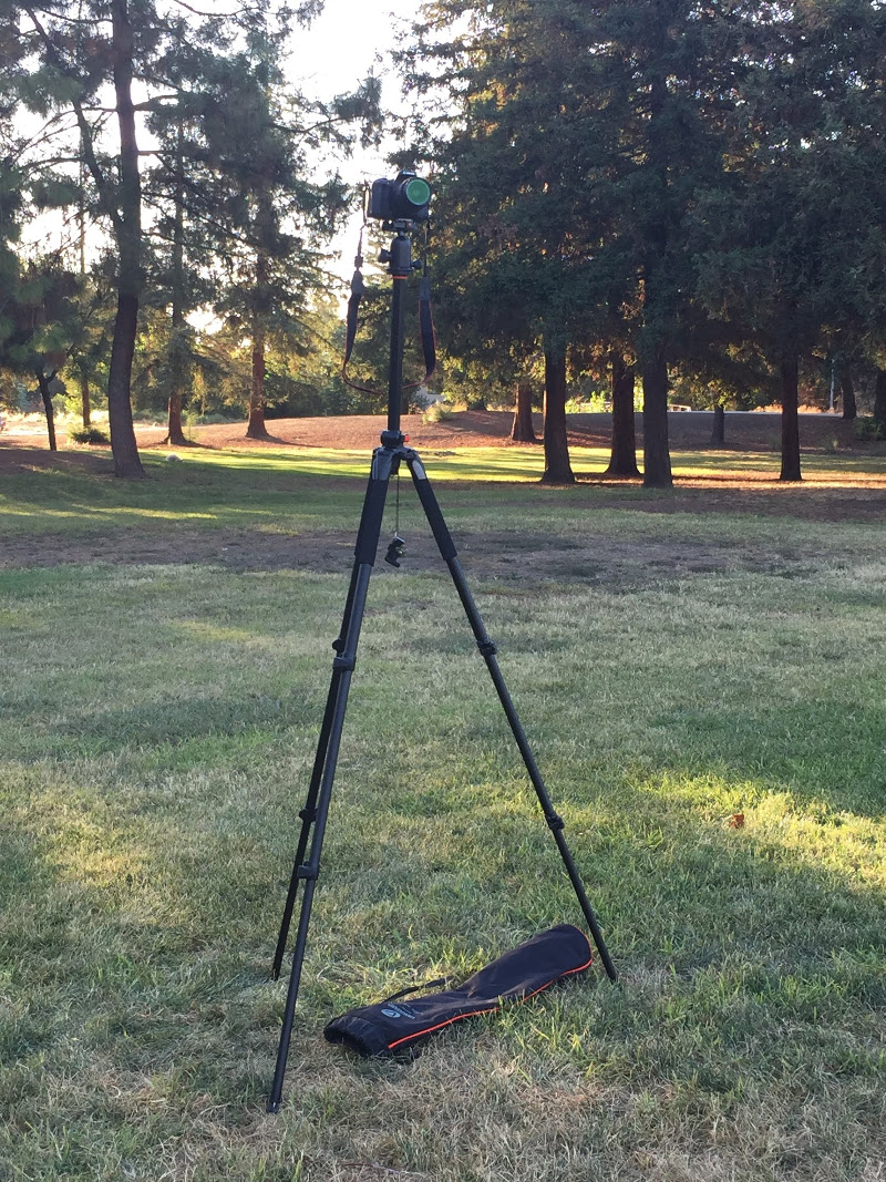 Vanguard Alta Pro 263AB 100 Tripod